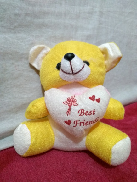 best friend teddy bear